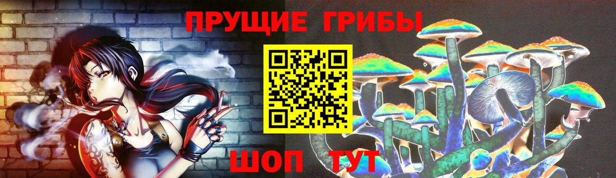 Кимовск  Псилоцибиновые грибы Psilocybine cubensis  Вход с VPN 